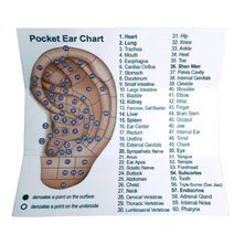 Dual Head Tip Acupuncture Ear and Body Point Probe Pocket Ear Chart and Pouch 1 Count (Pack of 1) - NewNest Australia