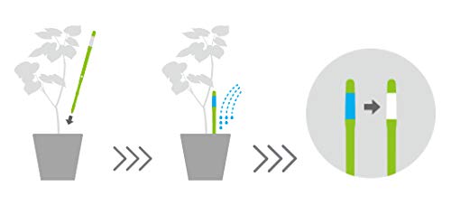 Sustee Aquameter, Green, Small - Plant Soil Moisture Sensor - Best for Potted Plants (Refillable Style) - NewNest Australia