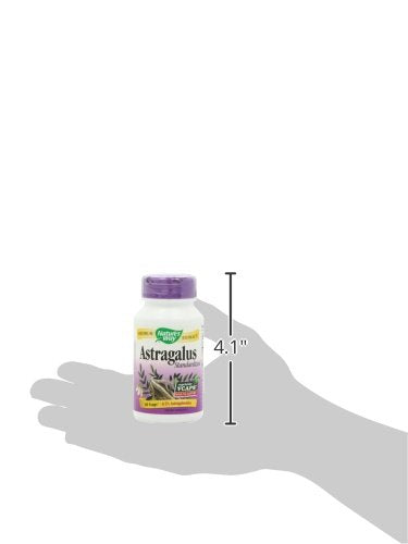 Nature's Way Astragalus Root, 60 Vcaps 60 Count (Pack of 1) - NewNest Australia