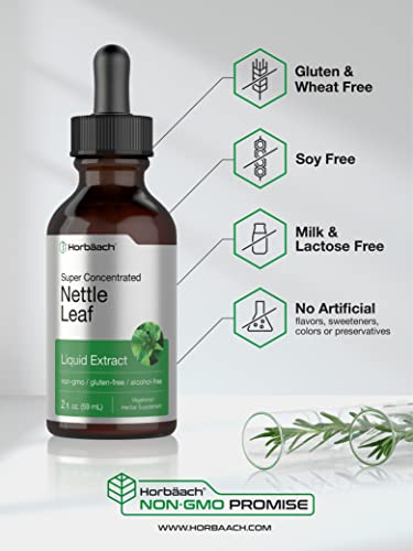 Stinging Nettle Leaf Extract | 2 oz | Alcohol Free Liquid | Vegetarian, Non-GMO, Gluten Free Tincture | by Horbaach - NewNest Australia