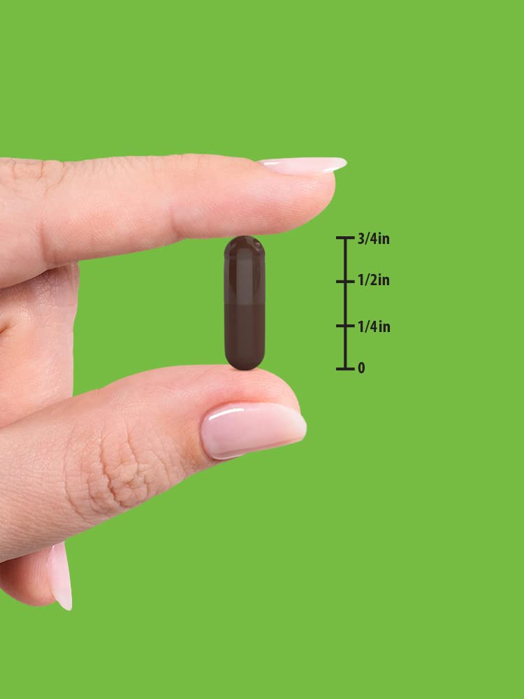 Activated Charcoal Capsules | 90 Count | Non-GMO, Gluten Free Pills | by Nature's Truth 90 Count (Pack of 1) - NewNest Australia