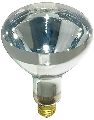 250R40/1 250-Watt, Incandescent R40 Reflector, Clear Head Lamp, Heat Flood Lamp Light Bulb, E26 Standard Medium Screw Base, 120V, 6,000 Hour Rated (Pack of 2-Clear-Heat Lamps) - NewNest Australia