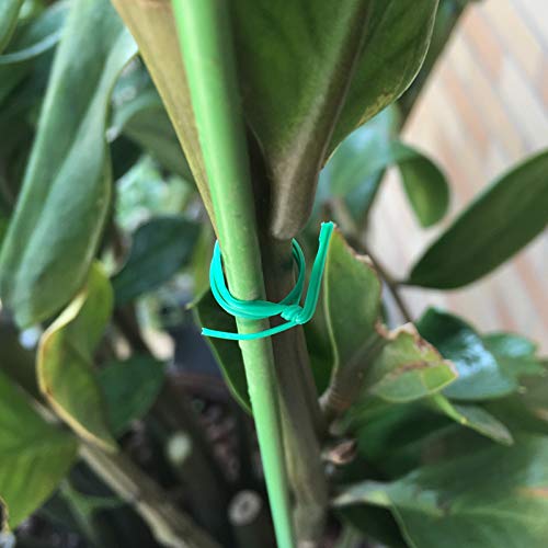 VIMOA Garden Twine 164 Feet Garden Twist Ties with Cutter for Plants, Vines and Wrapping Cords - NewNest Australia