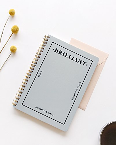 PAPERIAN Brilliant Monthly & Weekly Planner - Wirebound Undated Monthly &Weekly Planner Book Scheduler Diary (Grey Sky) Grey Sky - NewNest Australia