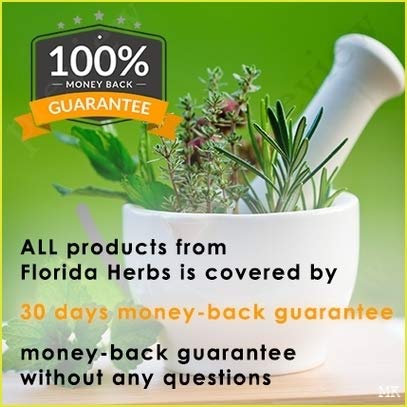 Angelica Tincture, Organic Angelica Extract (Angelica archangelica) Dried Root Herbal Supplement, Non-GMO in Cold-Pressed Organic Vegetable Glycerin, 700 mg, 2 oz (60 ml) 2 Ounce - NewNest Australia