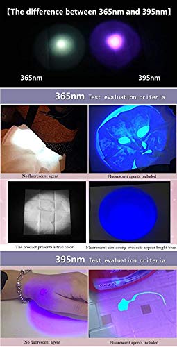 UV Flashlights Rechargeable, PROFORUS Ultraviolet Flashlight 365nm & 395nm Double UV Light Source Blacklight Flashlight Torch 2 in 1 Zoomable for Detect Pet Urine Stains Scorpions Art Photography - NewNest Australia