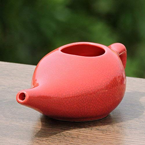 Ceramic Neti Pot for Nasal Cleansing Crackle Pattern | Ceramic Neti Pot with 10 Sachets of Neti Salt | Natural Treatment for Sinus, Infection and Congestion (Red) - NewNest Australia