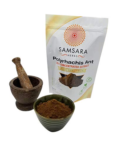 Samsara Herbs Polyrhachis Ant Extract Powder - 20:1 Concentrated Extract (2oz/57g) 2 Ounce (Pack of 1) - NewNest Australia