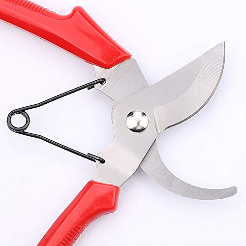 Labor-Saving Manual Fruit Picking Scissors Tree Shears Garden Gardening Pruning Scissors - NewNest Australia