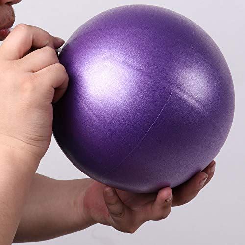 Fortitude Sports Yoga Ball 25cm | Soft Mini Pilates Ball Small for Yoga, Fitness, Core, Stability and Physical Therapy | Inflatable Mini Gym Ball With Inflation Straw Purple - NewNest Australia
