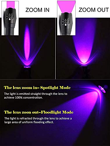 UV Flashlights Rechargeable, PROFORUS Ultraviolet Flashlight 365nm & 395nm Double UV Light Source Blacklight Flashlight Torch 2 in 1 Zoomable for Detect Pet Urine Stains Scorpions Art Photography - NewNest Australia