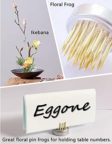 10Pcs Floral Frogs 23mm/0.9inch Round Kenzans Mini Flower Frog Pin Frog Japanese Ikebana Spiky Frog Fixed Tools Metal Flower Arranger Tool Pin Holder for Small Vase 10Pcs - NewNest Australia