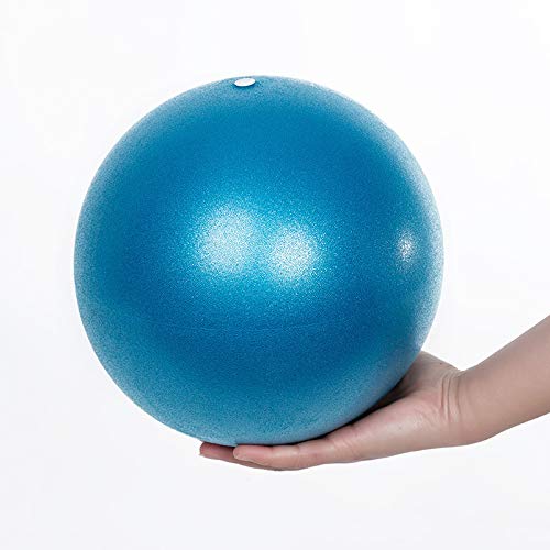 Fortitude Sports Yoga Ball 25cm | Soft Mini Pilates Ball Small for Yoga, Fitness, Core, Stability and Physical Therapy | Inflatable Mini Gym Ball With Inflation Straw Purple - NewNest Australia