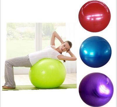 Boolavard Exercise Ball Fitness Ball, Anti-Burst Stability Ball with Quick Pump, Professional Balance Ball for Pilates, Yoga, Core Strength, Birthing Exercise 55cm, S Blue - NewNest Australia