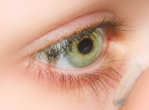 Eyelike monthly contact lens, -6.00 diopters, 1 piece -6.0 diopters 8.6 millimeters 14.1 millimeters - NewNest Australia