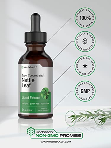 Stinging Nettle Leaf Extract | 2 oz | Alcohol Free Liquid | Vegetarian, Non-GMO, Gluten Free Tincture | by Horbaach - NewNest Australia