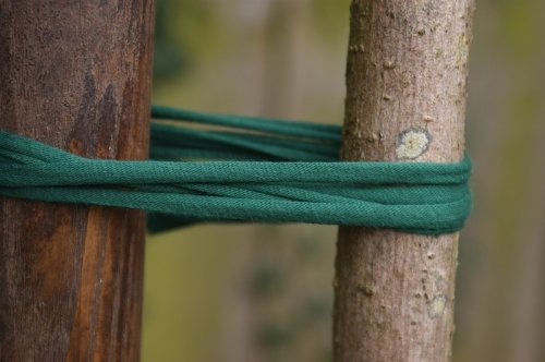 Biostretch, Soft Stretchy Garden Twine Environmentally Smart Non Twist Wire Plant Ties (Bio Roll x 2) - NewNest Australia