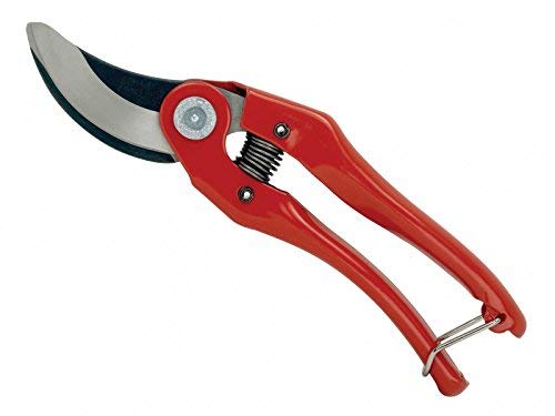 P121-23-F Traditional Pruner 9" Long with 1" Capacity and High Carbon Steel Blade - NewNest Australia