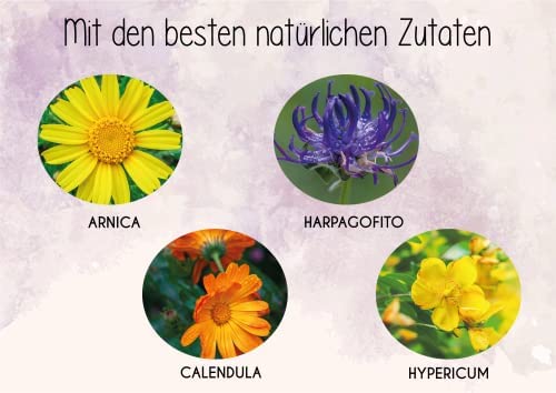 Physio Gel 200 Ml | Pain Gel Anti-Inflammatory Strong | Pain Relief For Back, Knees, Neck | Joints And Muscles | For Athletes | Devil'S Claw Arnica Marigold St John'S Wort Menthol - NewNest Australia