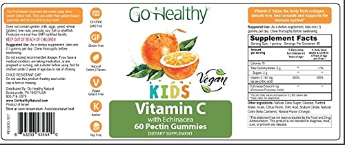 Go Healthy Natural Vitamin C Gummies with Echinacea for Kids, Vegan, OU Kosher, Halal (60) - 100 mg Servings - NewNest Australia