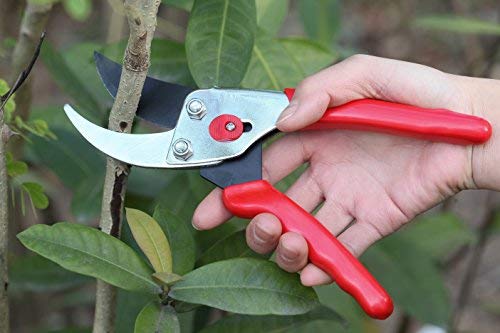 FLORA GUARD - 8.5Inch Traditional Bypass Pruning Shears - Professional Tree and Branch Garden Pruner - NewNest Australia