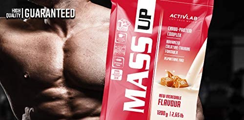 Activlactivlab Mass Up 1200 G Gainer Of Highest Quality Whey Protein Concentrate, Optimal Composition Of Complex And Simple Carbohydrate, Contains Creatine With Taurine 10 G Protein Per Serving Caramel - NewNest Australia