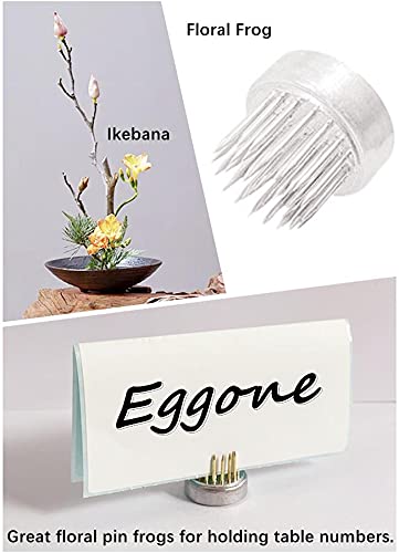 12Pcs Flower Frog 23mm/0.9inch Mini Floral Frog Japanese Ikebana Kenzan Table Numbers Holder Cut Flower Holder Floral Arranger Holder Stainless Steel Pin for Small Ikebana Vase (12Pcs) 12Pcs - NewNest Australia