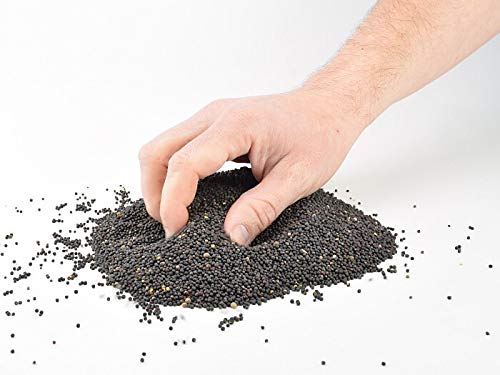 Rapeseed from ATC in various quantities and in a handy bucket - ideal for heat cushions, grain cushions or even therapy - cleaned rapeseed, therapy rapeseed, rapeseed, 3 kg 3 kg (pack of 1) - NewNest Australia