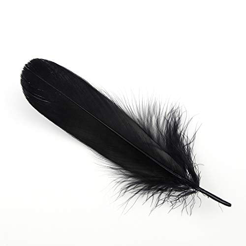 Sowder Natural Goose Feathers Clothing Accessories Pack of 100 (Black) Black - NewNest Australia