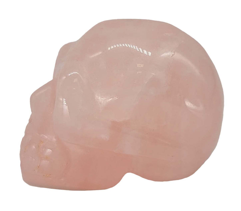 Rose Quartz Skull with *Extra* Chakra Crystal & Gift Box. Crystal 1½ Inch Skull with Tiger’s Eye, Turquoise, Amethyst, Lapis Lazuil, Clear Quartz or Other Crystal. Head Statue Ornament & Figurine. - NewNest Australia