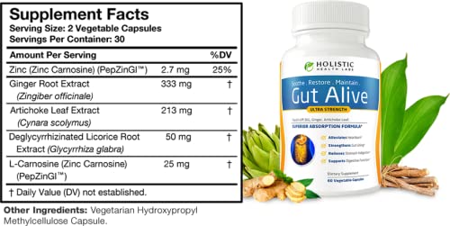 Holistic Health Labs Gut Alive - For Leaky Gut with Zinc Carnosine, Ginger Root, Artichoke Leaf Extract & Licorice (DGL). Supports IBS, Heartburn, Bloating, Gas, Constipation. 60 Capsules. - NewNest Australia