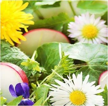 12 liver friends - 12 bitter herbs & bitter substances with milk thistle, artichoke, dandelion, gentian and much more. - 360 LIVER VITAL CAPSULES - PURE NATURE without ADDITIVES. 26314-360 - NewNest Australia