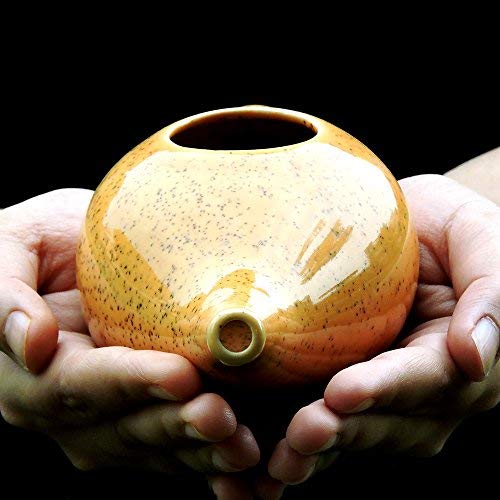 Ceramic Neti Pot for Nasal Cleansing Freckle Pattern | Neti Pot with 10 Sachets of Neti Salt + Instructions Leaflet | Natural Treatment for Sinus, Infection and Congestion (Orange) - NewNest Australia