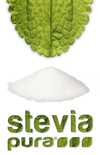 stevia pura | Pure stevia extract powder - white stevioside extract - highly concentrated sweetener from the stevia plant | 100% Stevia of which Reb-A 60% WITHOUT additives - WITHOUT sugar | 100 g can with measuring spoon 100 g (pack of 1) - NewNest Australia