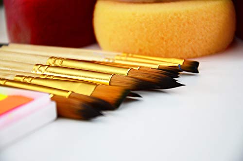Premium Synthetic Art Crafts Sponges - 6pc Value Pack for Painting, Artists, Pottery, Face Paint, Crafts & Hobbies by Lullingworth® - NewNest Australia