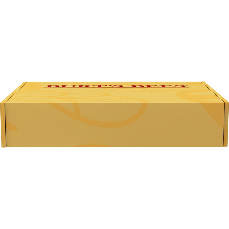 Burt’s Bees Lip Care and Colour Kit - NewNest Australia