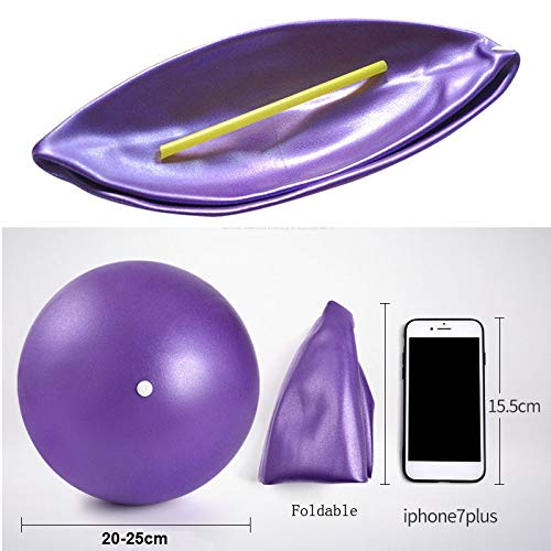 Fortitude Sports Yoga Ball 25cm | Soft Mini Pilates Ball Small for Yoga, Fitness, Core, Stability and Physical Therapy | Inflatable Mini Gym Ball With Inflation Straw Purple - NewNest Australia