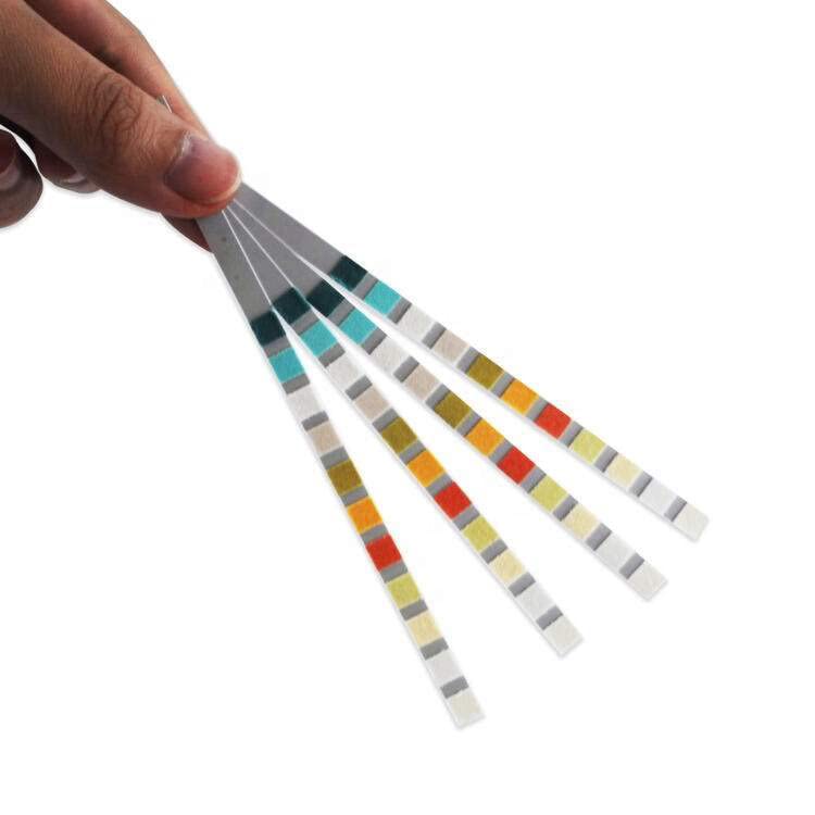100xUTI Urine Test Strips(11-Parameters),Urinary Tract Infection Strip. Simple,Fast and Accurate.Urinalysis Home Testing Stick Kit for Ketone,pH,Glucose,Nitrite,Leukocytes to Help Monitor Your Health - NewNest Australia