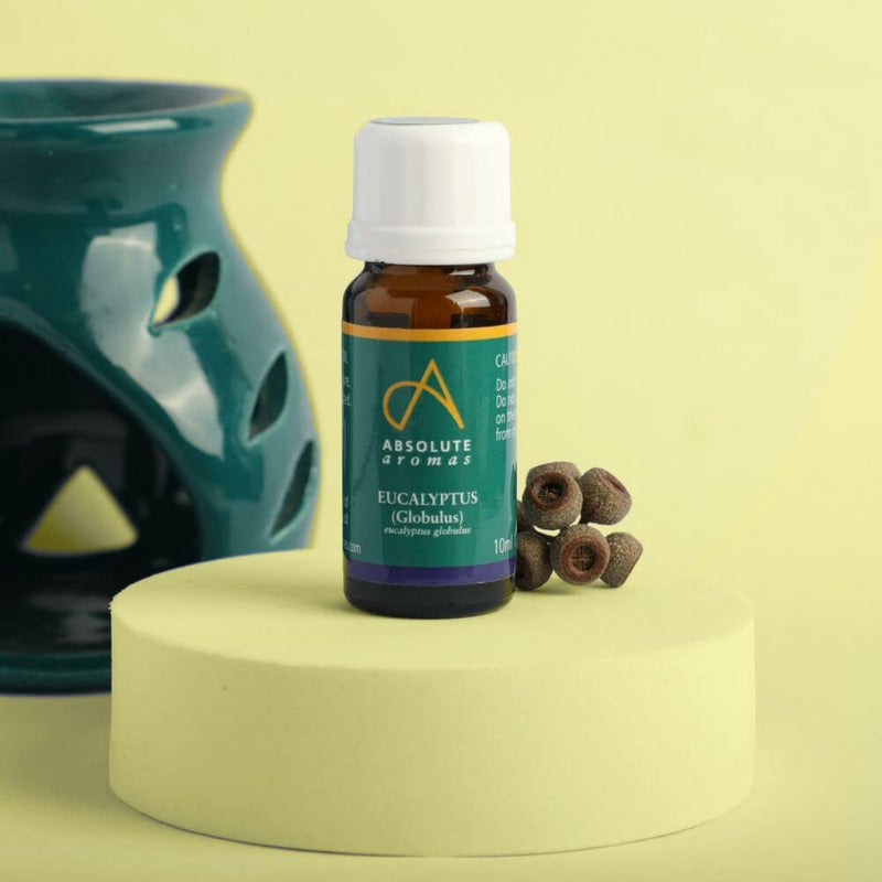 Absolute Aromas Eucalyptus Essential Oil 10ml - 100% Pure, Natural and Undiluted - an Antiseptic and Antibacterial Oil to Soothe and Clear - for use in Diffusers and Aromatherapy 10 ml (Pack of 1) - NewNest Australia