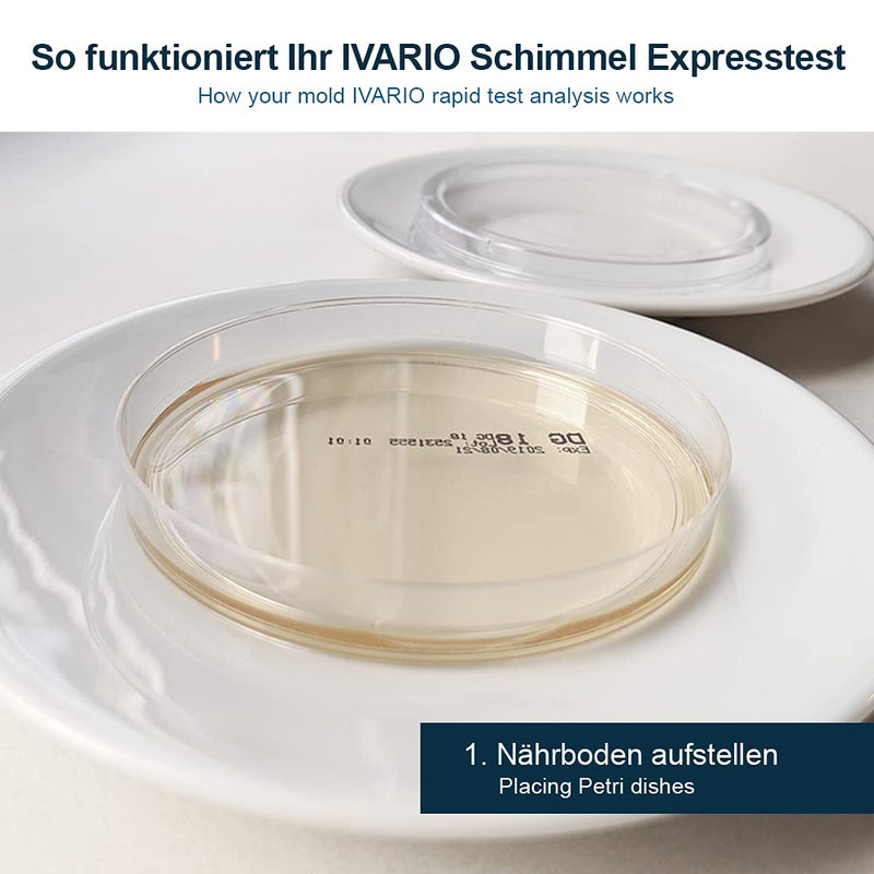 Mold Test - Express Test For Home: The Mold Quick Test - Includes Easy-To-Follow Instructions, Evaluation Chart And Mold Guide - Test Your Room Air For Mold Traces - NewNest Australia