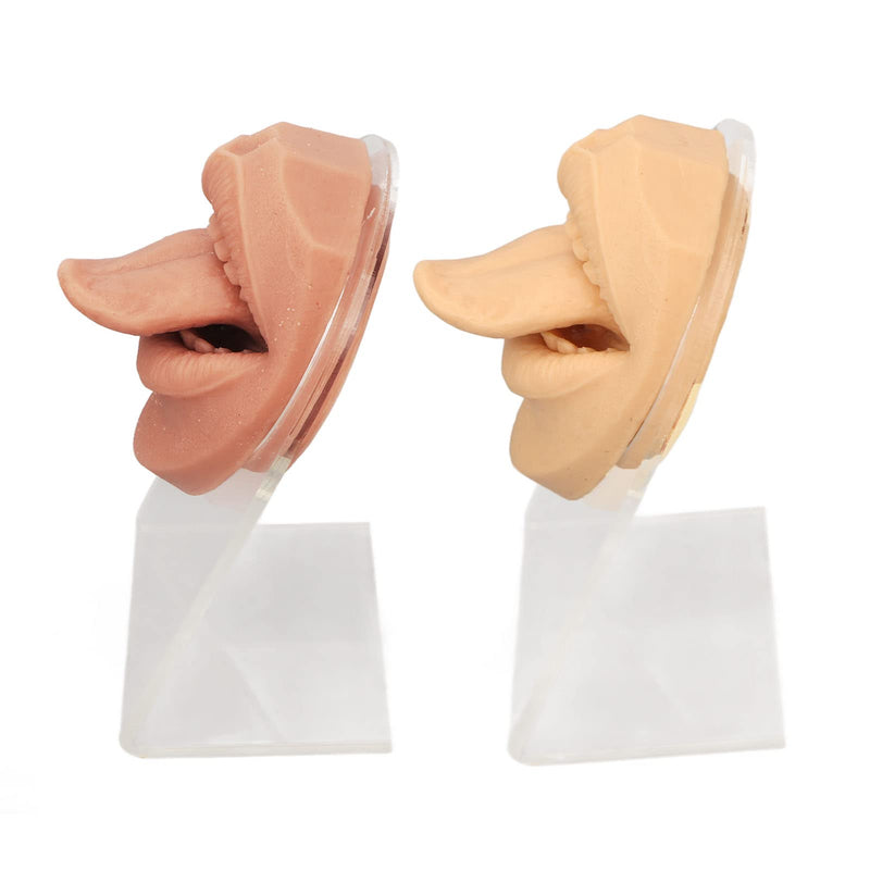 Pack Of 2 Silicone Mouth Tongue Model, 3D Simulated Piercing Model With Stand, Flexible False Mouth Model With Tongue For Piercing Practice Educational Display - NewNest Australia