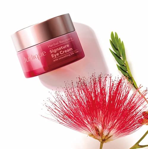 Herbal Recovery Signature Eye Cream - NewNest Australia