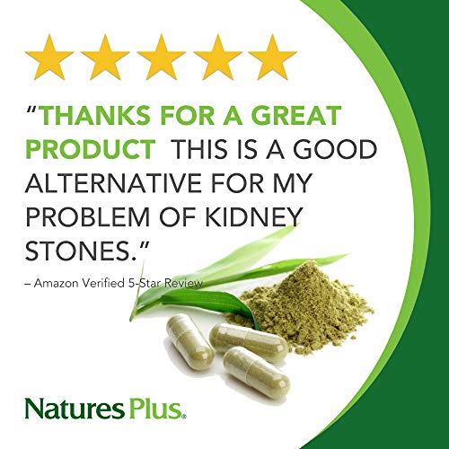 NaturesPlus Egg Yolk Lecithin - 600 mg, 90 Vegetarian Capsules - Supports Body's Natural Defenses & Optimal Liver Function - Soy-Free, Gluten-Free - 90 Servings - NewNest Australia