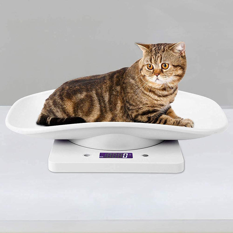 Electronic Pet Scale, Multifunctional Kitchen Scale, 10kg/1g Digital Small Pet Weight Scale Household Measure Tool for Cats Dogs Parrots - NewNest Australia