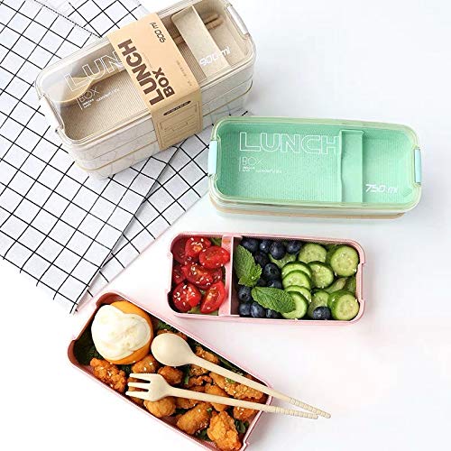 NewNest Australia - TARLINI HOME Kids Bento Box- Lunch Containers, Cute Lunch Boxes for Kids With Utensils, Chopsticks & Dividers, Bento Boxes for Adults, Dishwasher & Microwave Safe Japanese Bento Beige 