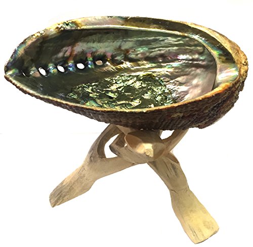 NewNest Australia - Abalone Shell or Crystal Ball Stand Tripod 6" by New Age Imports, Inc. Wood 