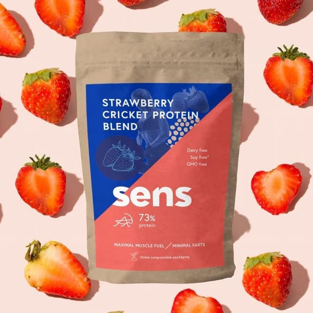 Sens Insect Protein Powder, Lactose-Free, Insect Flour Food From Barbecues, Sustainable Sports Nutrition With 73% Protein Content, Alternative To Whey Protein. (Strawberry, 455G) - NewNest Australia