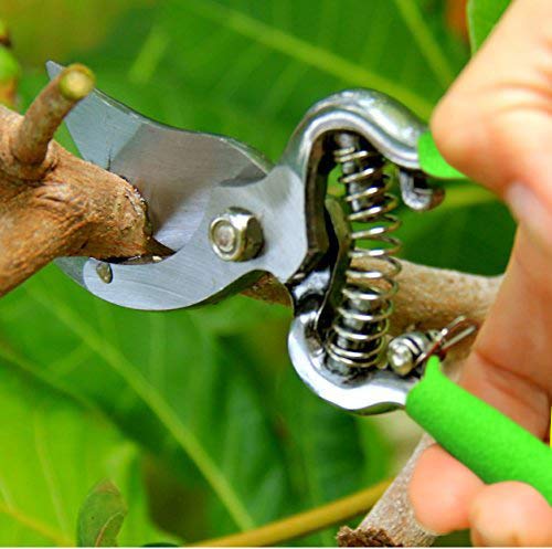 Garden Guru Indestructible All Steel Garden Clippers - GR8-Cut Professional Bypass Hand Pruner Pruning Shear with Comfort Grip Handles and Hardened Steel (Color May Vary) 1 Pack (8 inches long) Green - NewNest Australia
