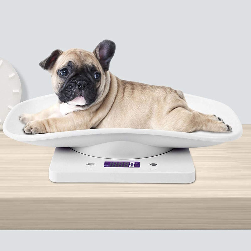 Electronic Pet Scale, Multifunctional Kitchen Scale, 10kg/1g Digital Small Pet Weight Scale Household Measure Tool for Cats Dogs Parrots - NewNest Australia