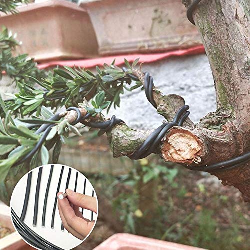 Tree Training Wires for Bonsai Tree, 3 Sizes 1.0mm, 1.5mm, 2.0mm Tree Training Wire Aluminium Wire Plant Growing Training Tools - NewNest Australia